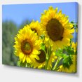 thumbnail image 2 of Beautiful Sunflowers View - Floral Canvas Art Print, 2 of 4