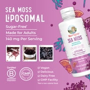 MaryRuth's Sea Moss + Immune & Energy Liposomal Supplement Vegan Citrus Berry Flavor Adult Unisex 7.6 fl oz