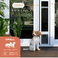 thumbnail image 3 of Hakuna Pets Small White Mesh Patio Pet Door, Suitable for Screen Sliding Doors, for Dogs & Cats up to 11 lbs, 3 of 10