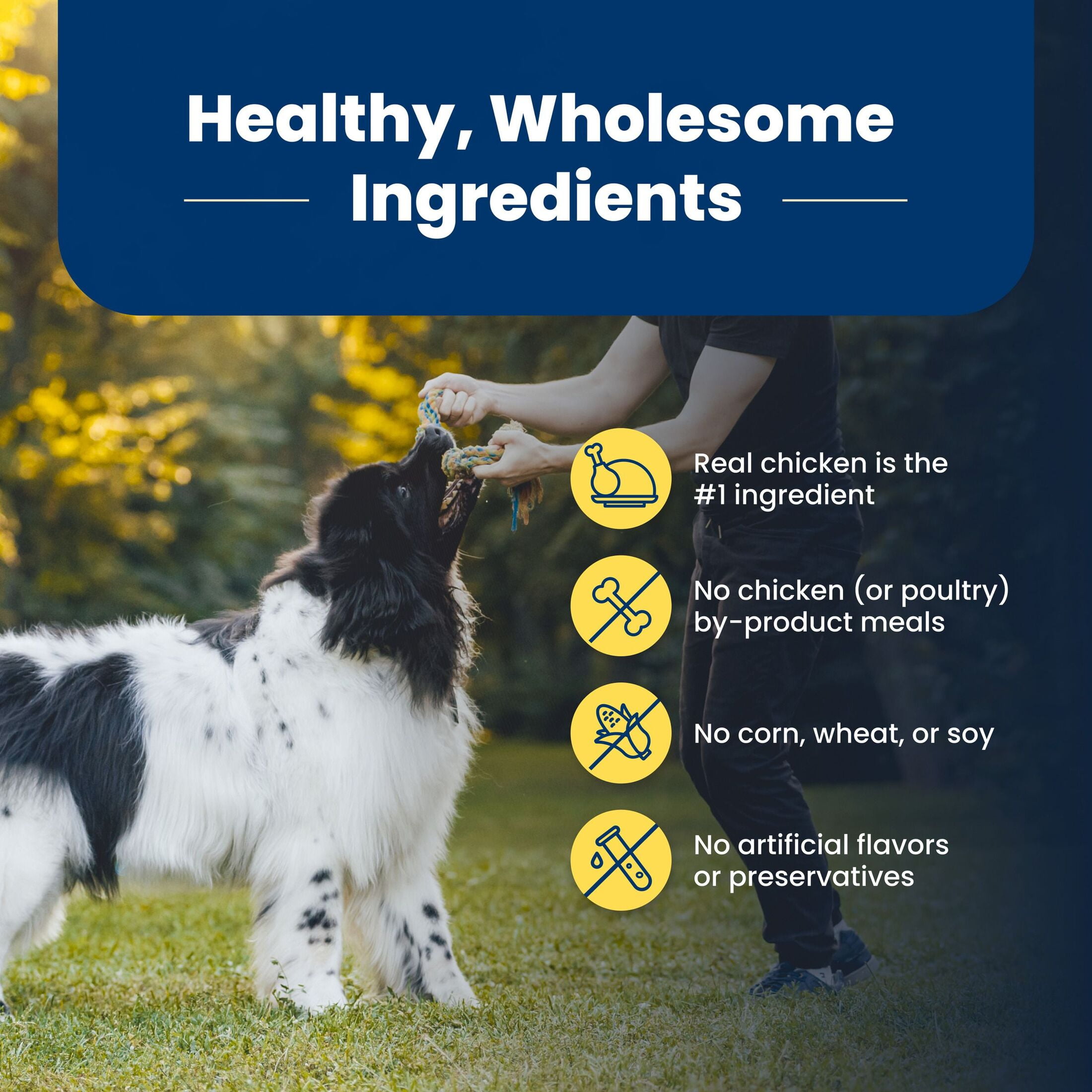 Blue Buffalo Life Protection Formula Healthy Weight Adult Dry Dog Food, Chicken, 34-lb Bag