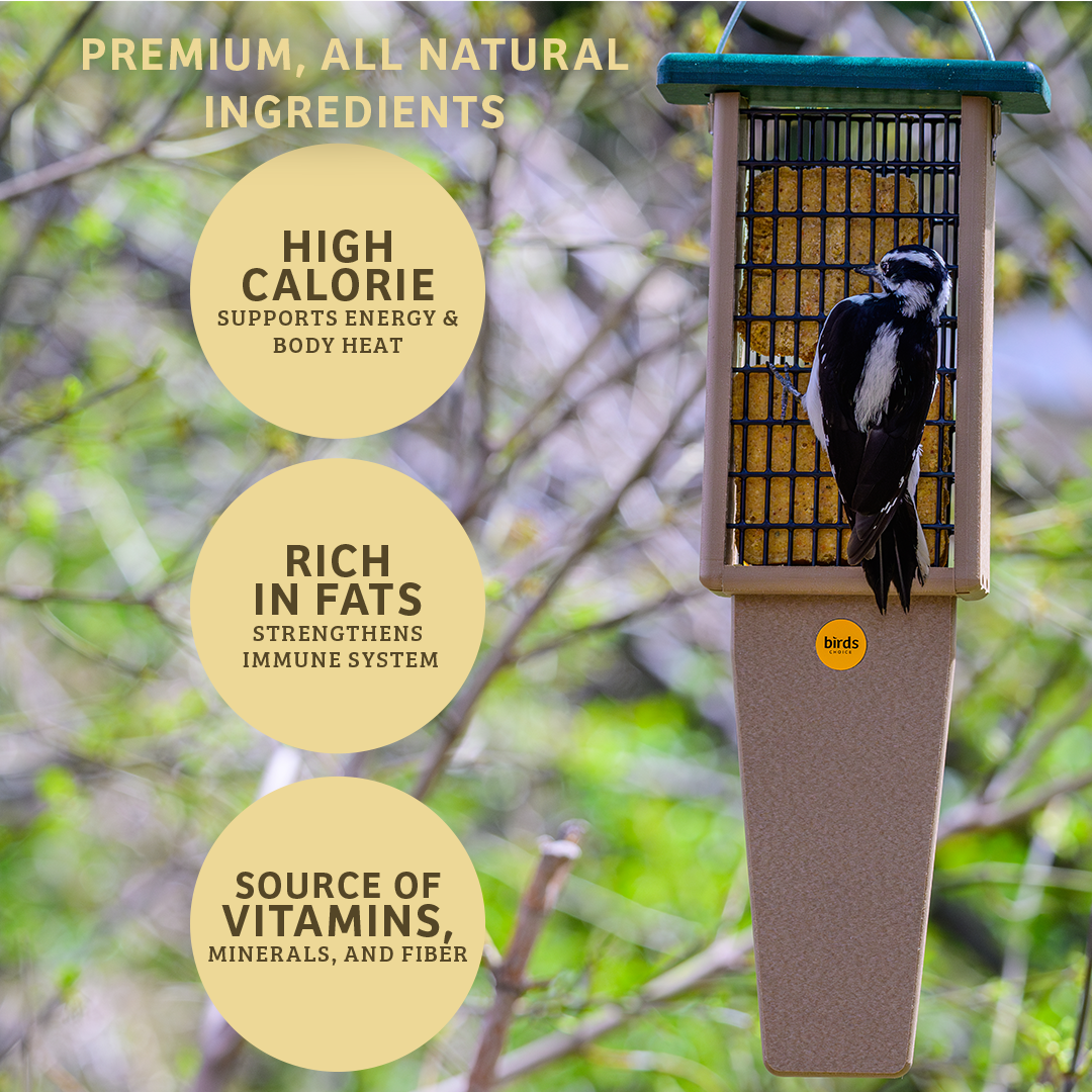 Birds Choice Peanut No Melt Suet - 12 Pack