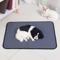 thumbnail image 2 of CSChome Tapis pour Animaux de Compagnie - Lavable en Machine, Absorbant l'Eau, Antidérapant, Étanche, Réutilisable Tapis d'Entraînement pour Chien Chiot, 2 of 6