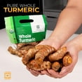 thumbnail image 3 of Fresh Organic Turmeric Root - 2 Lb Whole Raw Root by Fijian Spice Company, 3 of 7