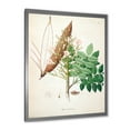 thumbnail image 2 of Designart 'Ancient Botanicals IX' Farmhouse Framed Art Print, 2 of 4