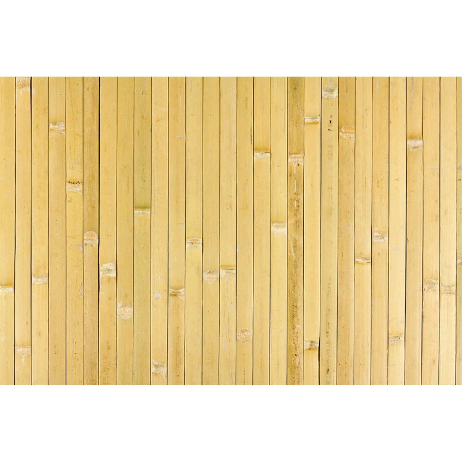Beadboard Paneling, Ridge Pine Wall Paneling