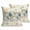 Brown, variant on Throw Pillow Covers 18x18 Inch Set of 2 Starfish Conch Shell Decorative Pillows Cushion Case Soft Square Pillowcases Ocean Coral Seagrass Retro Throw Pillows for Couch Sofa Bed Chair Home Decor