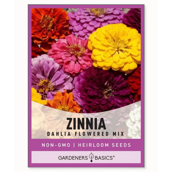 Zinnia Dahlia Flowered Mix Seeds