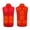Red, variant on Pisexur Heated Vest - Heating Clothes for Men and Women Lightweight Warm Waistcoat Women's Heat Jacket vest Outdoor(no Battery)