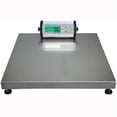 thumbnail image 1 of CPWplus Bench and Floor Scales, 1 of 1