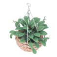 thumbnail image 3 of Miniature Bonsai, Mini Potted Plant Small Portable Vivid Lifelike  For Gift For Children For Toys For Decoration, 3 of 8