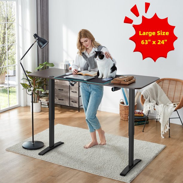 LINSY HOME 63" x 24" Electric Ergonomic Standing Desk Adjustable Height