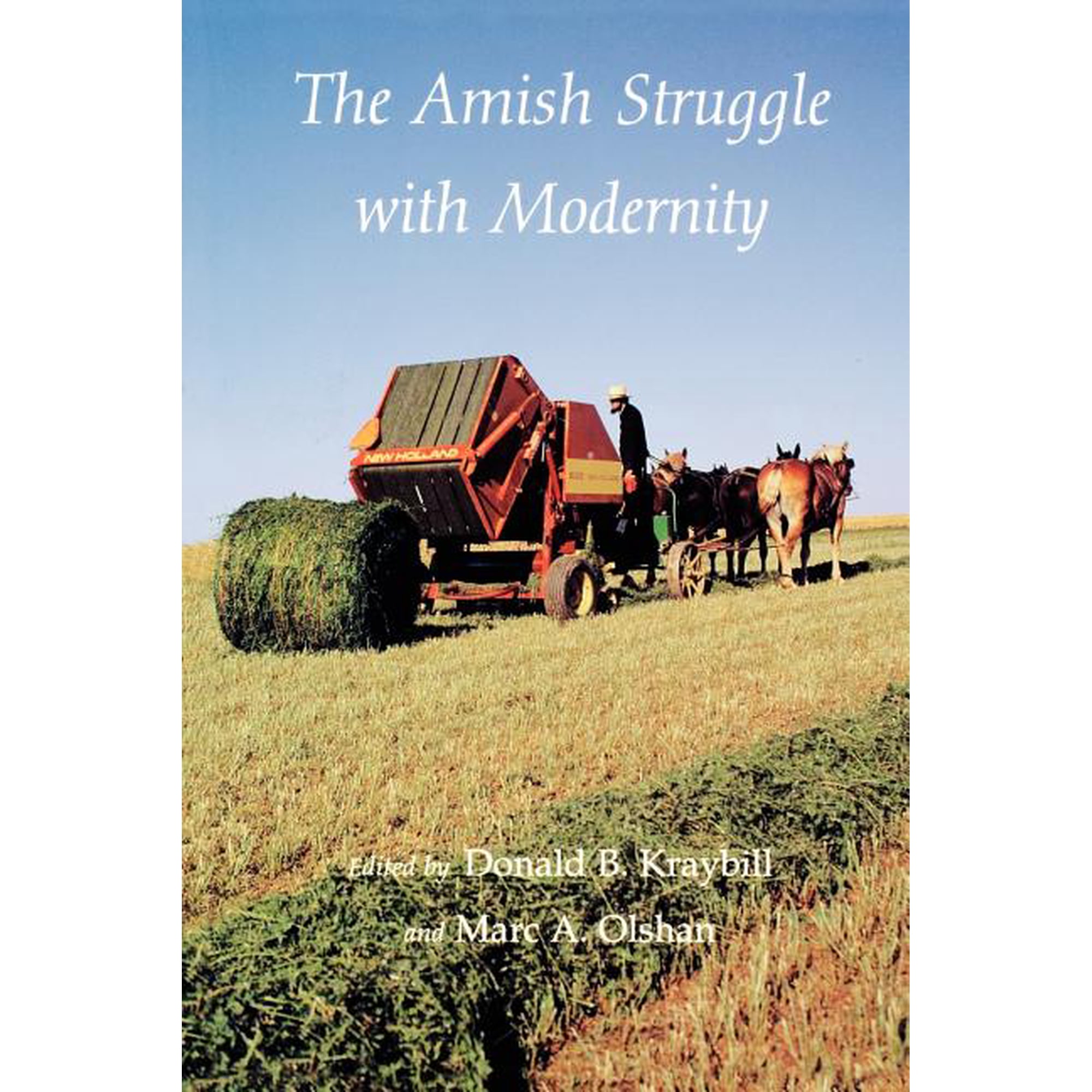 The Amish Struggle with Modernity (Paperback)