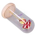 thumbnail image 4 of Light Rose Glass Cover, Light Up Rose Glass Colorful Gold Artificial Romantic  For Anniversary Red, 4 of 8
