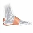 thumbnail image 2 of FasciaDerm System for Plantar Fasciitis, 2 of 4