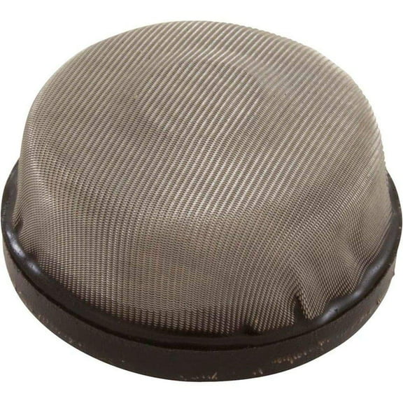 Pentair 191329 Air Relief Strainer Replacement Star Polymeric/Star Pool and Spa D.E. Filter