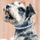 thumbnail image 4 of Correas para collar de perro, correas clásicas para collar de perro para perros pequeños, medianos y grandes de todas las razas, 4 of 5