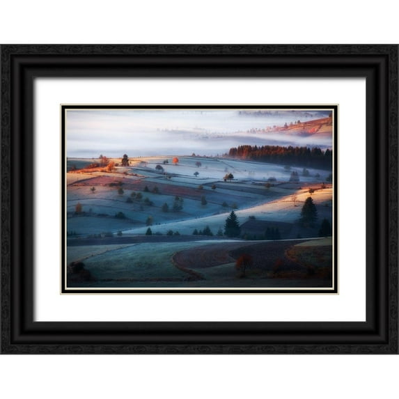 Bajrich, Amir 24x17 Black Ornate Wood Framed with Double Matting Museum Art Print Titled - mist
