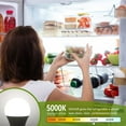 thumbnail image 3 of FrostHike 2 Pack LED Refrigerator Light Bulbs, 5W (40W Equivalent), Daylight 5000K, E26 Base Appliance Light Bulb for Fridge, Freezer, IP54 Waterproof, Energy Saving(2pcs), 3 of 5