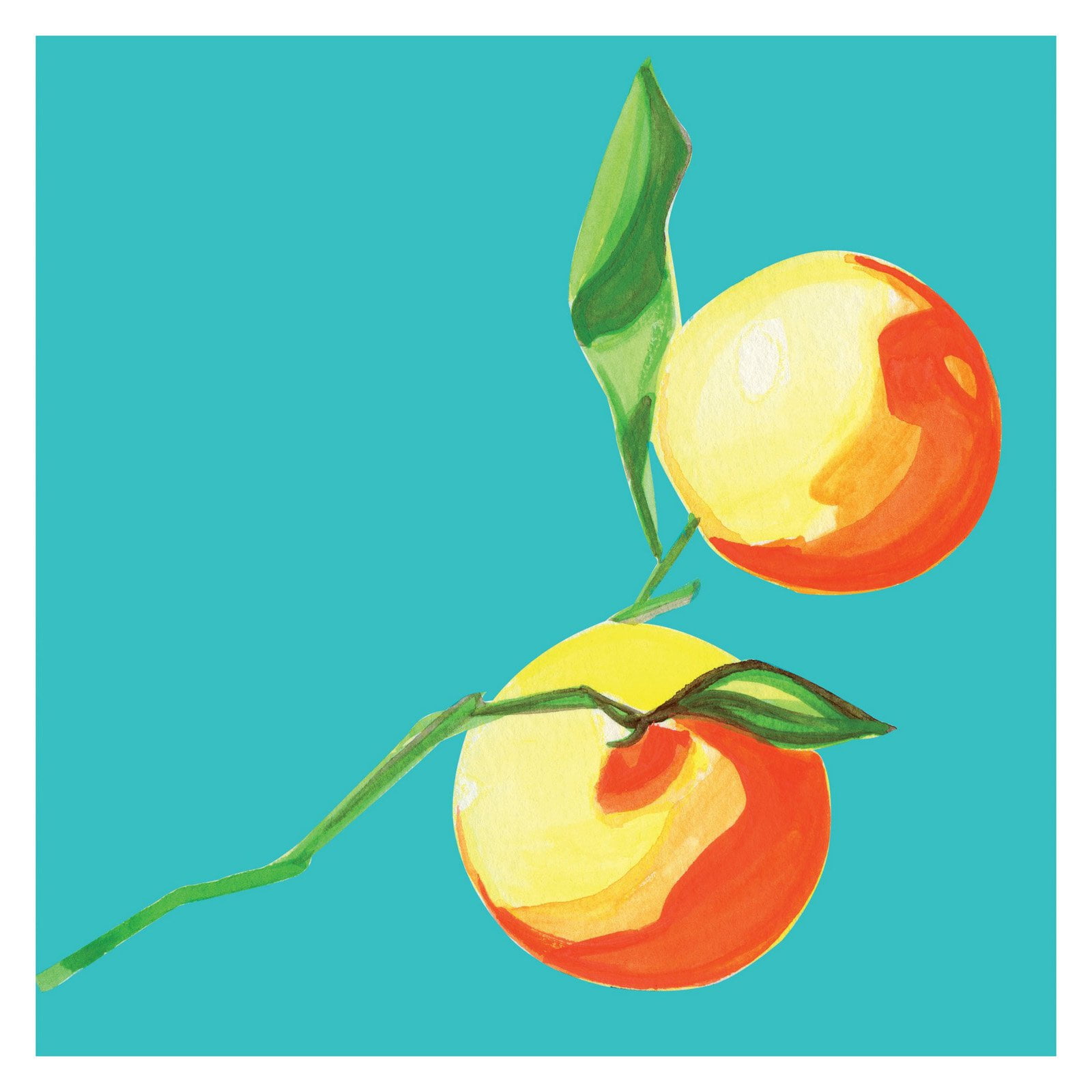 Marmont Hill Clementines Painting Print