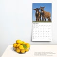 thumbnail image 5 of BrownTrout, Donkeys 2025 Wall Calendar, 5 of 9