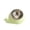 Green, variant on Tilted Stainless Steel Cat Food Bowl Non-Slip Base Raised Neck Protection Design Anti-Vomiting Pet Feeder Bowl for Small Dogs Cats Durable Pet Supplies