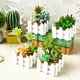 thumbnail image 5 of Combinación de suculentas en maceta, adornos pequeños de moda creativos, plantas verdes artificiales, 2 uds., 5 of 5