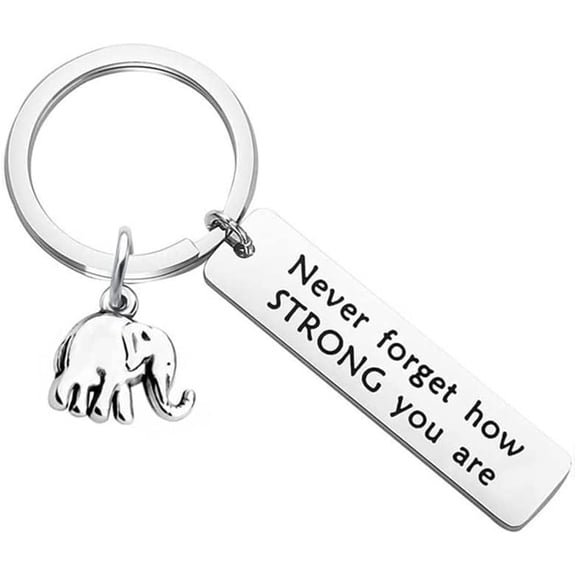 Inspirational Gifts Keychains for Women Girls Never Forget How Strong You Are Keychain for Friend Daughter Christmas Birthday Gift for Elephant Lovers Encouragement Gifts
