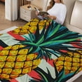 thumbnail image 2 of FCXZI Home Leisure Flannel Blanket Pineapples Soft Warm Lightweight 30*40in, 2 of 7