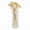 Bleached, variant on Vickerman Natural Botanicals 1.3"-1.75" Cedar Rose, Natural on Stem. Includes 50 pieces per polybag.