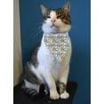 thumbnail image 2 of Lovely Pocket Pet Pastel Pattern Bandana  -Image by Shutterstock,  Medium, 2 of 4