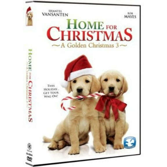Home for Christmas: A Golden Christmas 3 (DVD)