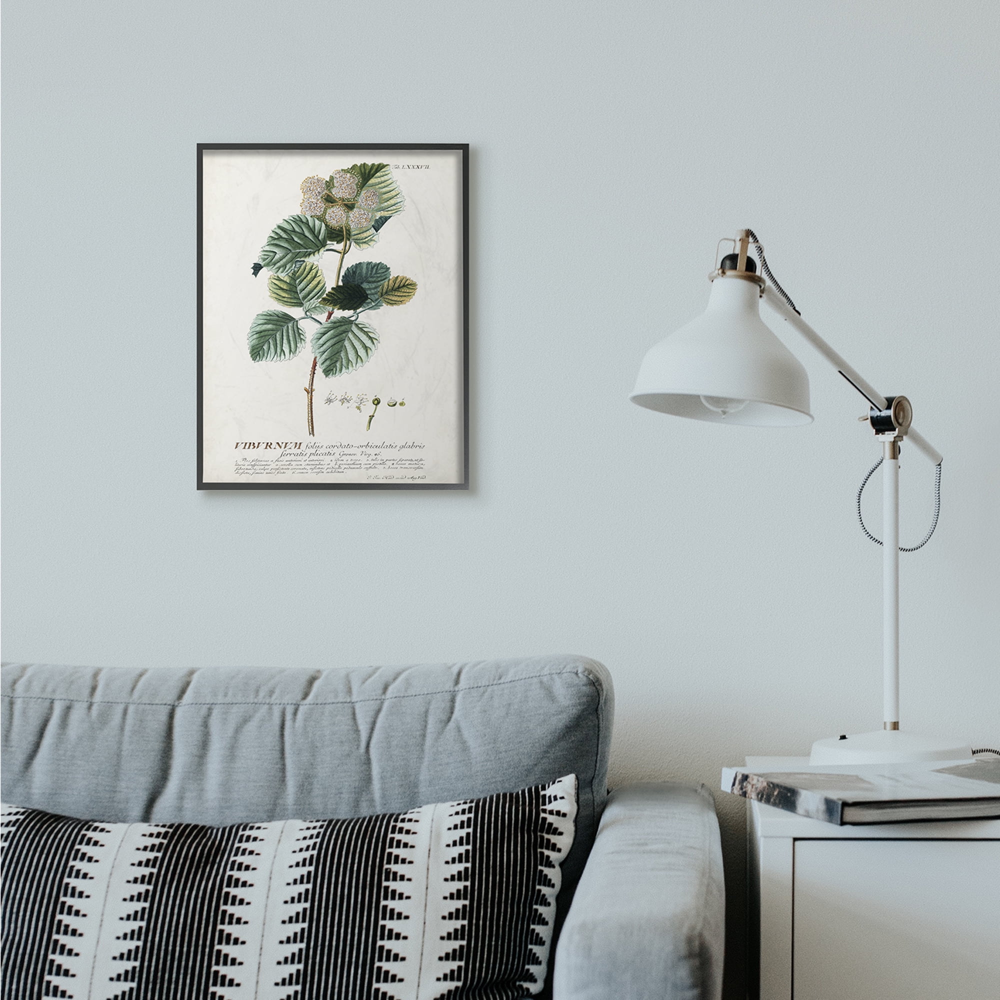 Stupell Industries Botanical Plant Illustration Seeds Vintage Design Framed Wall Art by Unknown