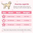thumbnail image 3 of PUMYPOREITY Dog Sanitary Pantie, Washable Puppy Diaper with Suspender, Breathable Pet Underwear for Small and Medium Dog, 3 of 7