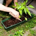 thumbnail image 4 of TABLETREANDS Handheld Seeding Tool Mini Garden Seeder Tool For Gardening Enthusiasts 1Set 5.8X0.8X0.8In, 4 of 8