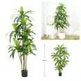 thumbnail image 4 of DSstyles Artificial Plant 4.9ft Brazilian Wood Tree Faux Plants Indoor Tall Fake House Floor Plants Realistic Artificial Trees for Home Office Decor Indoor Outdoor Housewarming Gif, 4 of 9