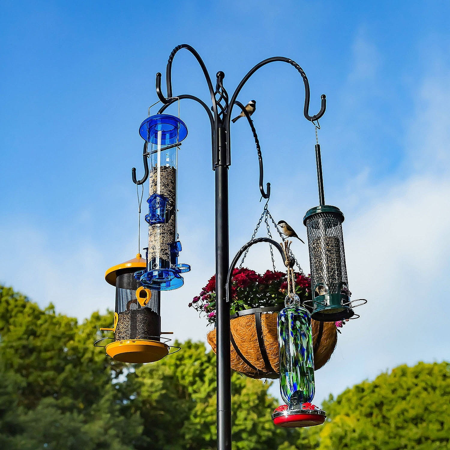 Evergreen 92" Premier Wild Bird Feeding Station