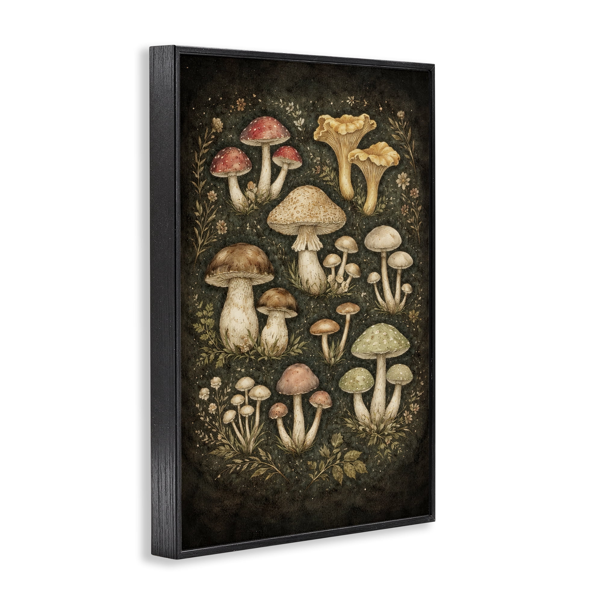 Stupell Industries Organic Sprouting Mushrooms Black Framed Giclee Art, design by Tom Crehan