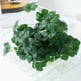 thumbnail image 4 of Planta verde artificial no marchita, llamativa, realista, anticaída, fondo decorativo, adorno de hierba de cuatro hojas, planta falsa, decoración del hogar., 4 of 7