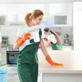 thumbnail image 2 of Portable Fogger Machine Handheld Rechargeable Steam Sprayer For Home Garden Black Spray, 2 of 8