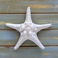 thumbnail image 2 of Amber Light Gallery 20x20 White Modern Wood Framed Museum Art Print Titled - White Starfish, 2 of 4