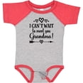 thumbnail image 3 of Inktastic I Can't Wait to Meet You Grandma Baby Announcement Boys or Girls Baby Bodysuit, 3 of 5