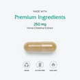 thumbnail image 4 of Vitanica Horse Chestnut, Promotes Vein and Capillary Strength & Circulation, Vegan, 60 Capsules, 4 of 7