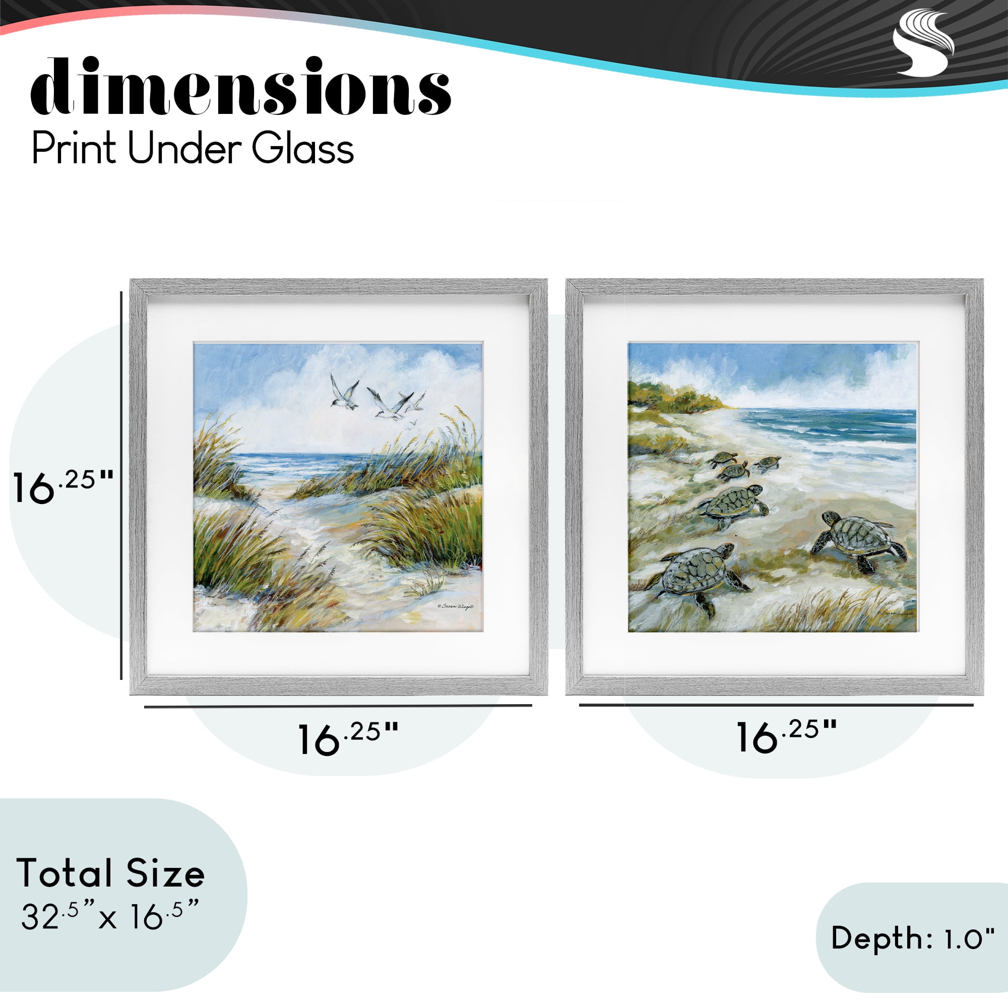 Stupell Industries Beach Creatures on Dunes 2 Piece Gray Framed Print Under Glass Set, design by Susan Winget