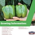 thumbnail image 3 of Harris Seeds Pepper Currier F1, Large Blocky Bell Peppers, Treated Variety, 100 Count, 3 of 7
