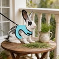 thumbnail image 5 of Rabbit Harness and Leash Set, Adjustable Mesh Bunny Walking Harness with Lead, Breathable Small Pet Harness for Rabbits 6.61 Lbs., 5 of 8