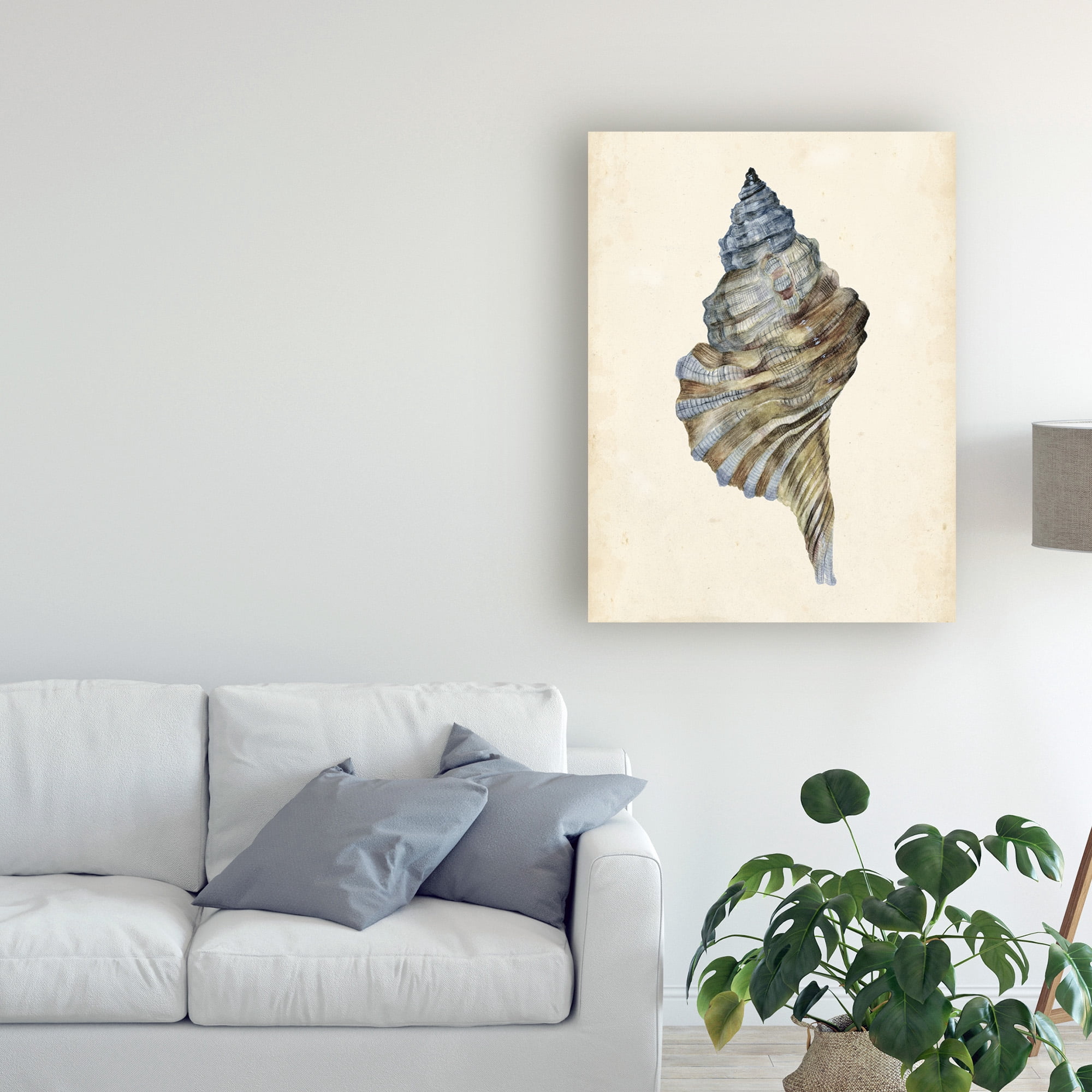 Trademark Fine Art 'Watercolor Seashell III' Canvas Art by Melissa Wang
