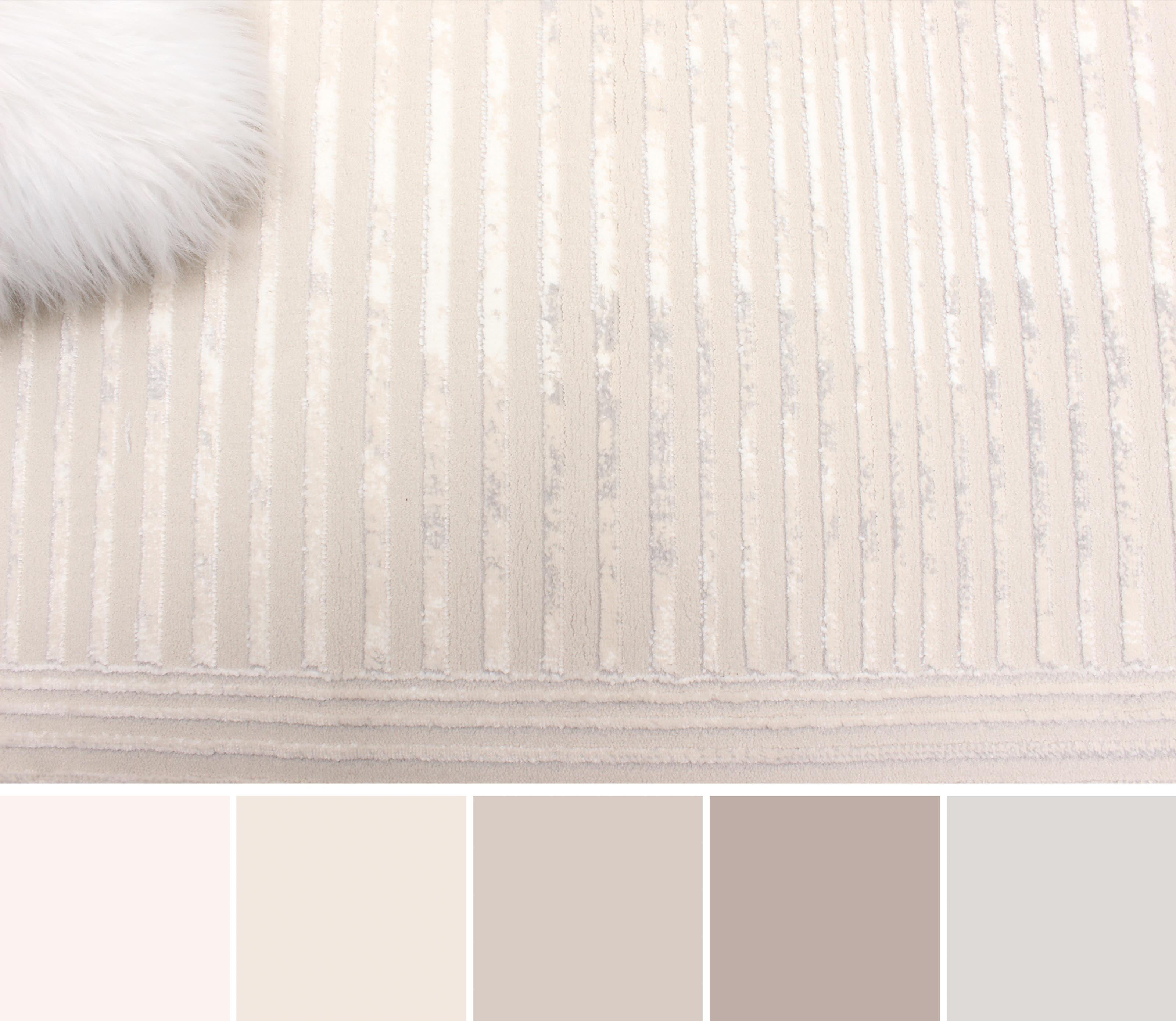 ECARPET Tapis Contemporain/Moderne Ramona pour Salon, Chambre, Salle A Manger, Entrée, Couloir et Plus Encore.