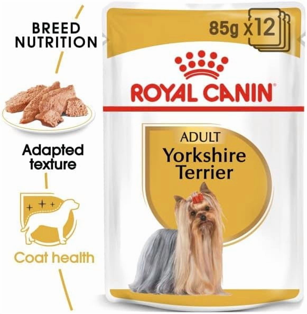 Royal Canin Yorkshire Terrier Dog Wet Food 12x85g