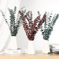 thumbnail image 6 of GoXteam 10pcs Dried Fall Eucalyptus Stems, Christmas Burgundy Dried Flowers for Vase, Home Decor, Real Eucalyptus Plant, 17" Fall Floral Stems Decorations Arrangement, Red, 6 of 7