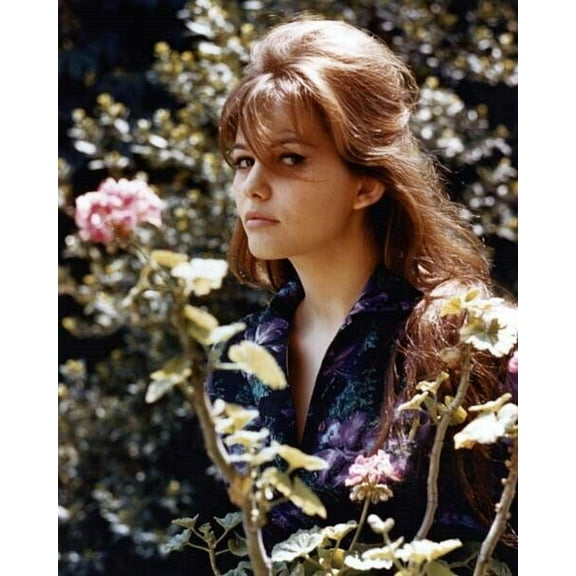 Claudia Cardinale looks gorgeous in this mid 1960's outdoor portrait 24x36 poster